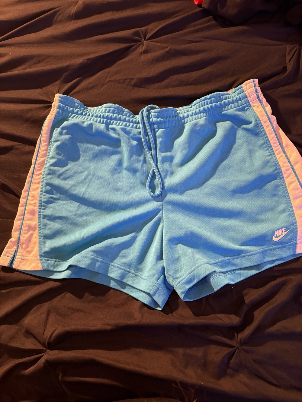 Nike Women’s Light Blue Athletic Shorts with Pink Side Panels